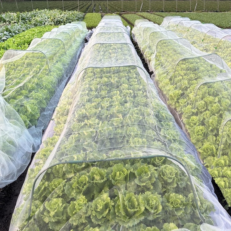 Agricultural insect netting