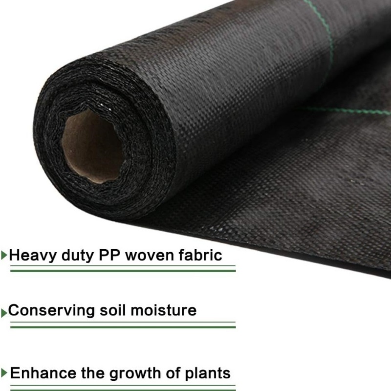 ground cover
