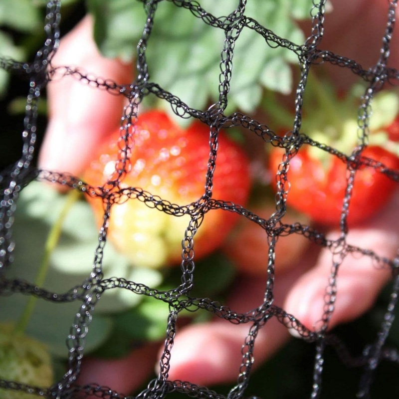 anti bird netting