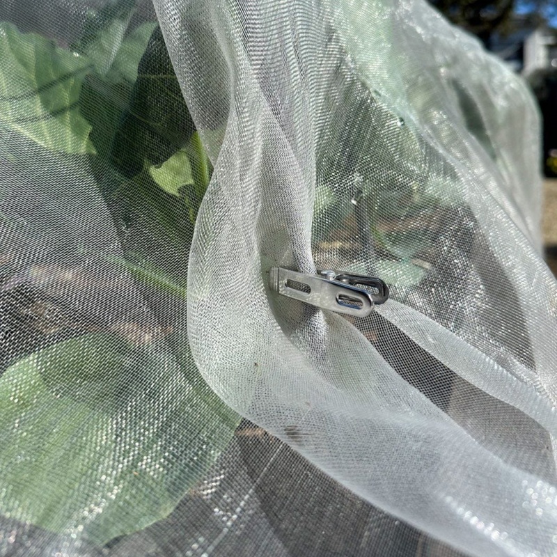 anti insect net