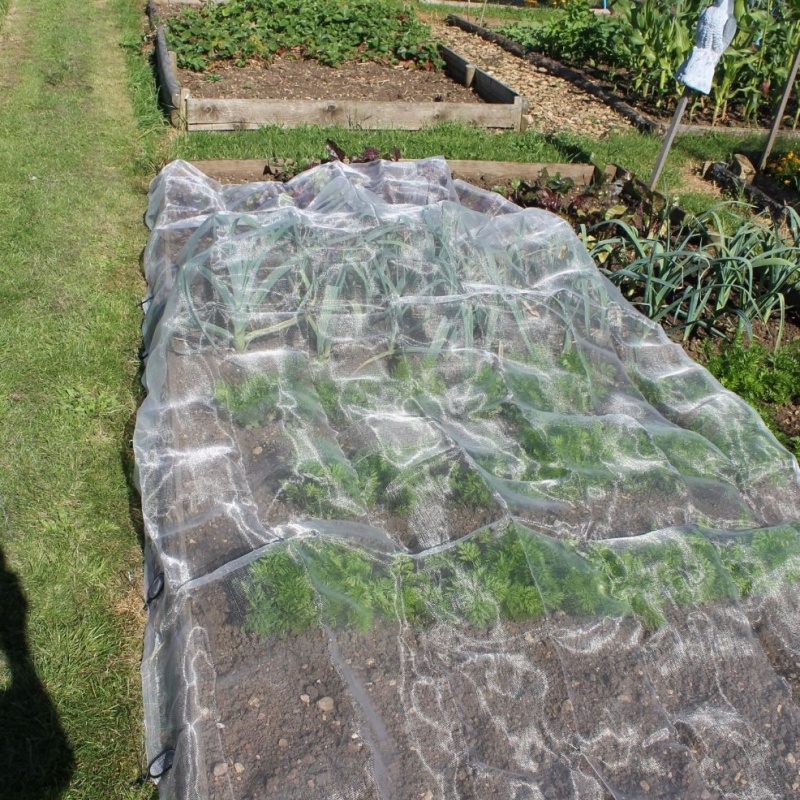 anti insect net