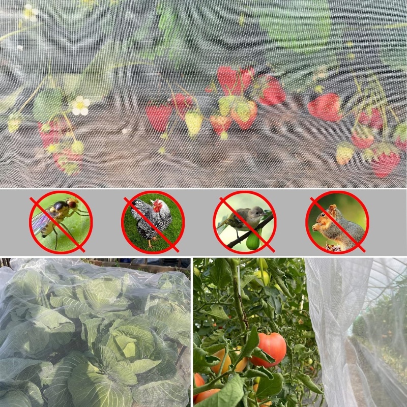 anti insect net