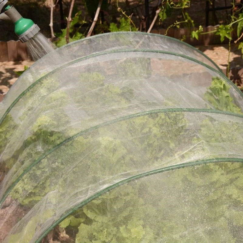 anti insect net