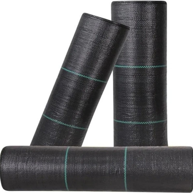 Why has pp green cover become so popular?