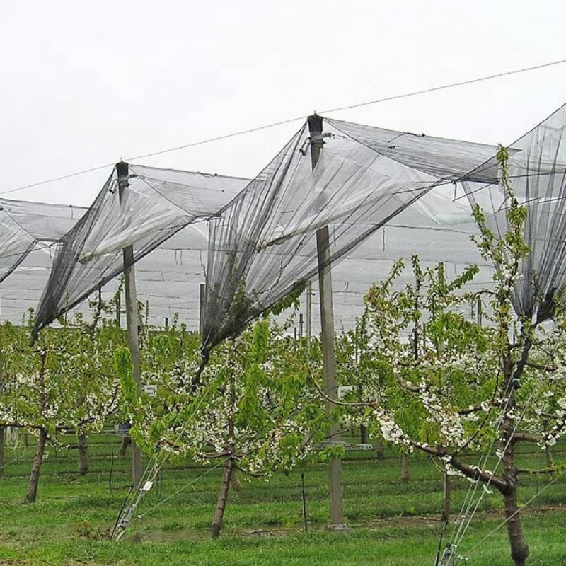 High Quality Anti Hail Netting for Agriculture