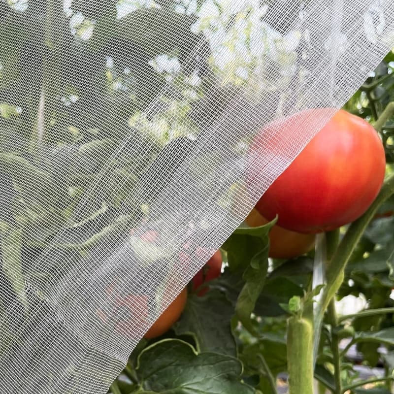 Insect Proof Net: Your Ultimate Defense Against Pests