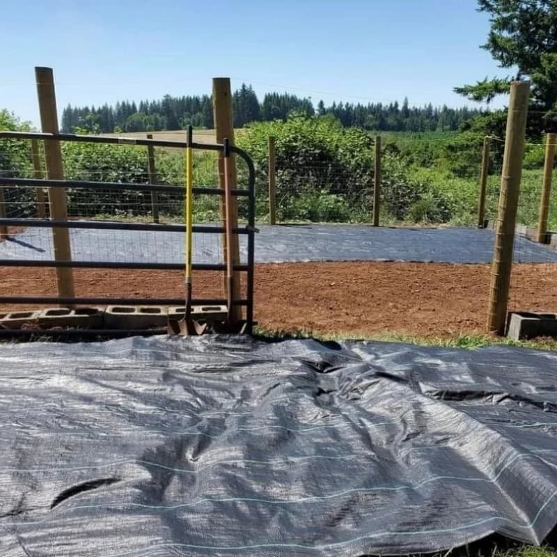 Introduction of Ground Cover