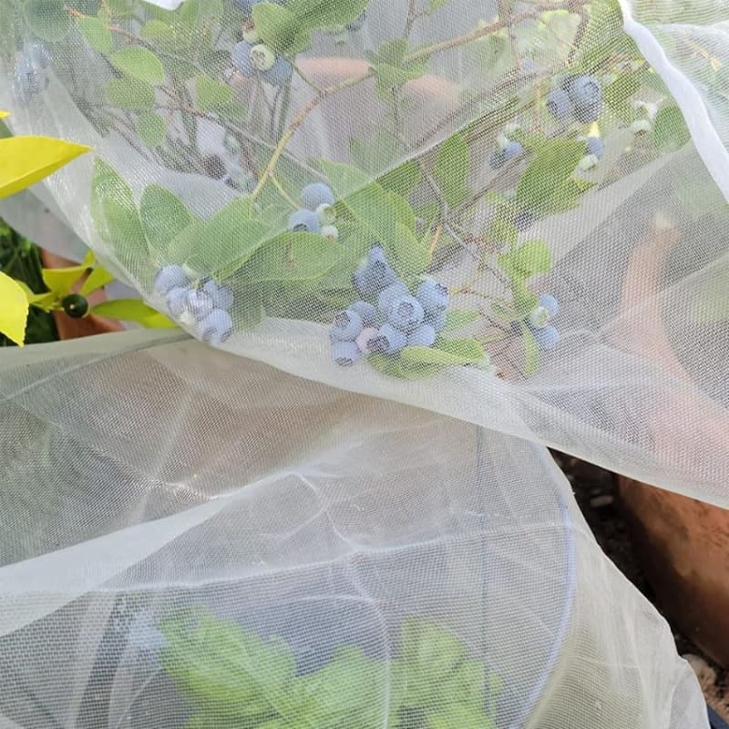 A good helper for fruit farmers: agricultural anti-insect netting