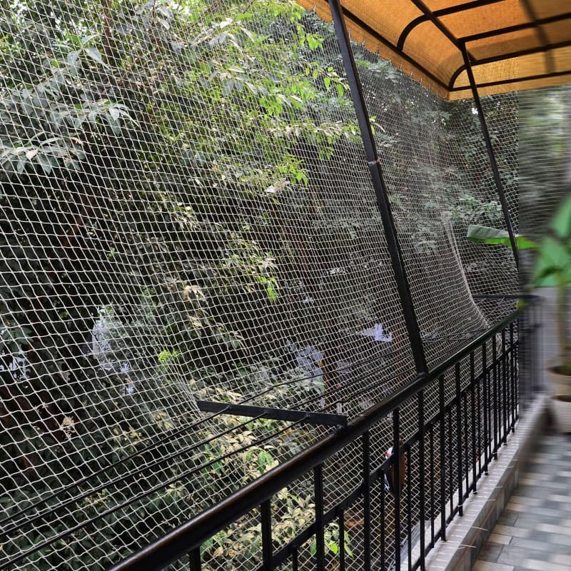 Plastic Anti Bird Net Black Bird Nets for Catching Birds