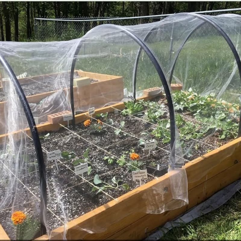 100% Virgin HDPE UV Protection Anti Insect Net for Agriculture