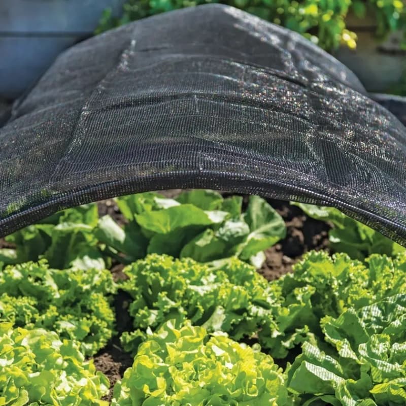  agriculture sun shade net
