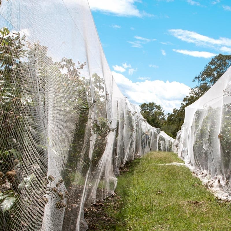 Effective anti bird netting solutions
