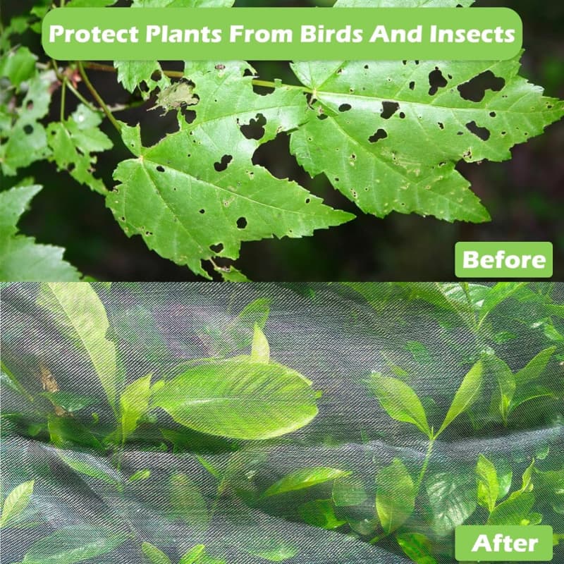 anti insect net