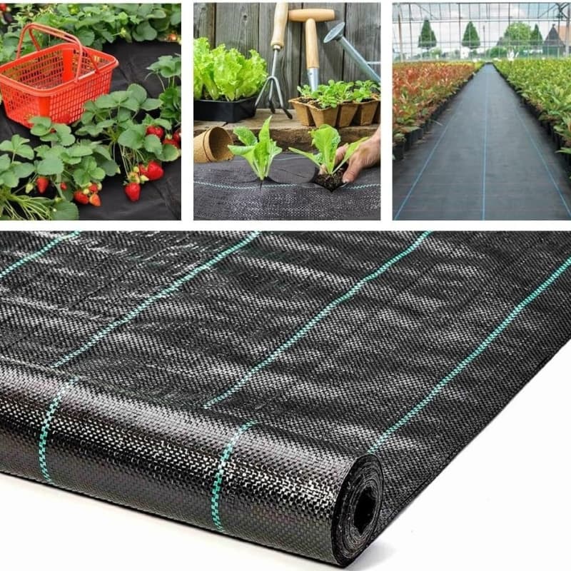 ground cover