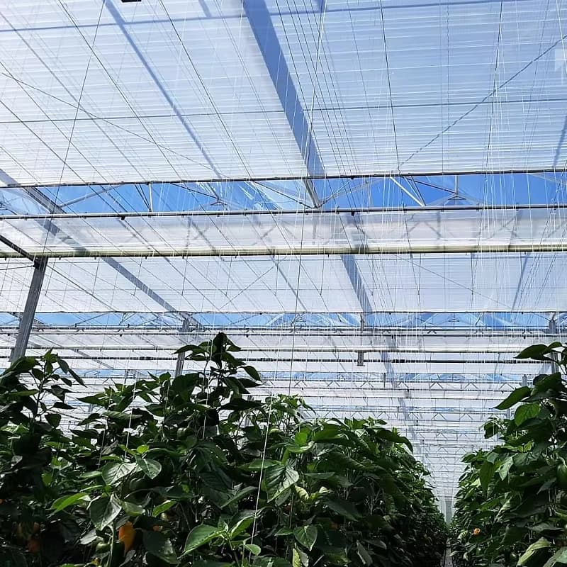 indoor aluminum shade net
