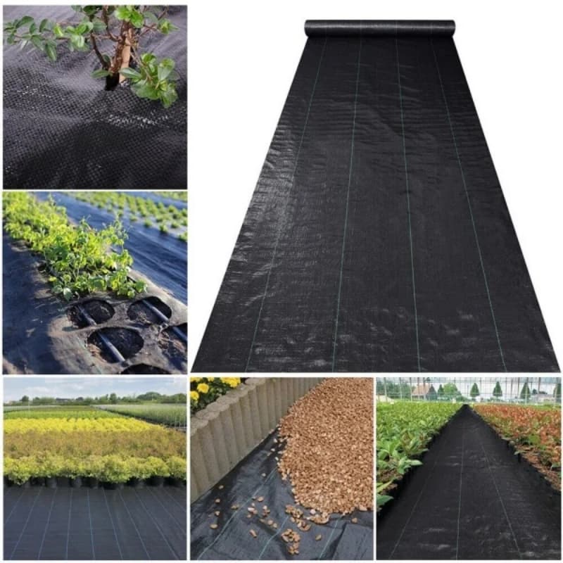 ground cover