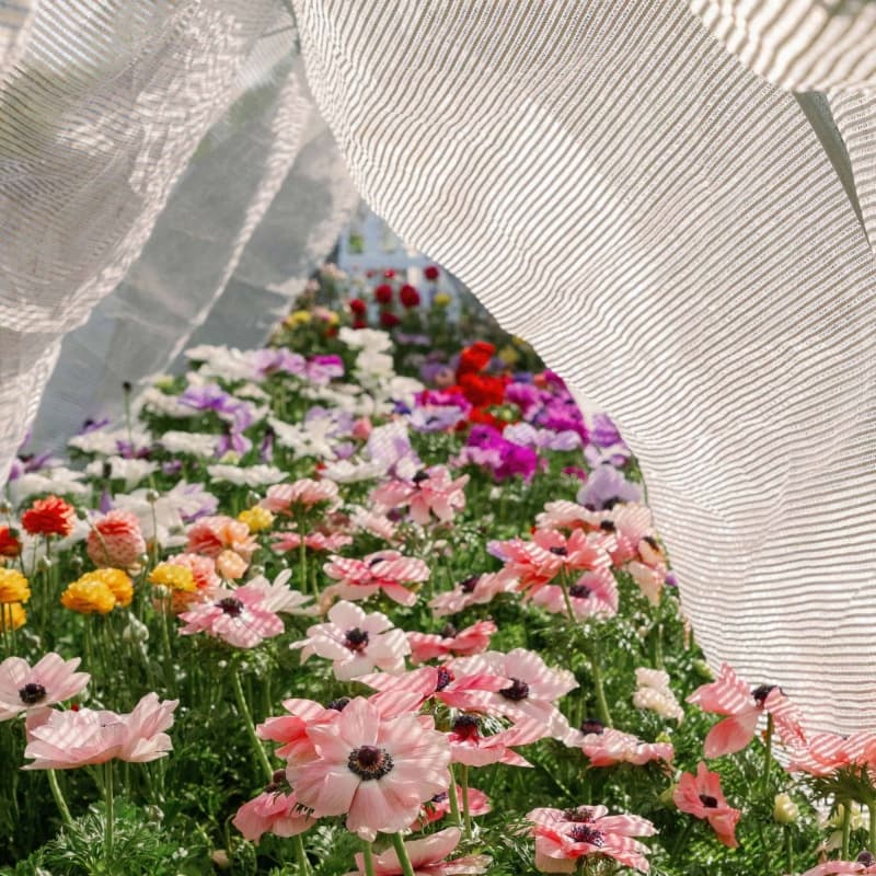 indoor aluminum shade net