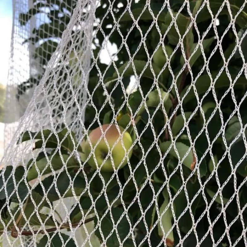 anti bird net