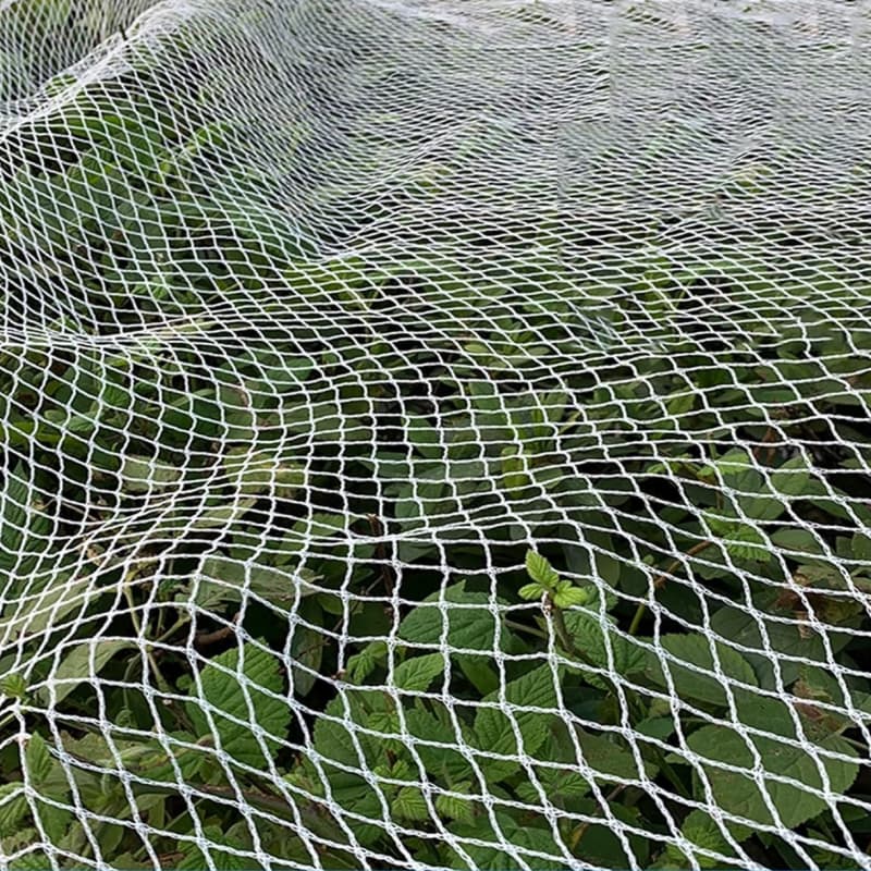 anti bird net