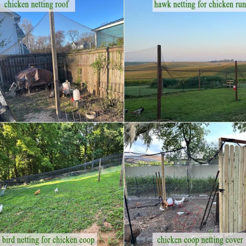 anti bird netting anti bird netting