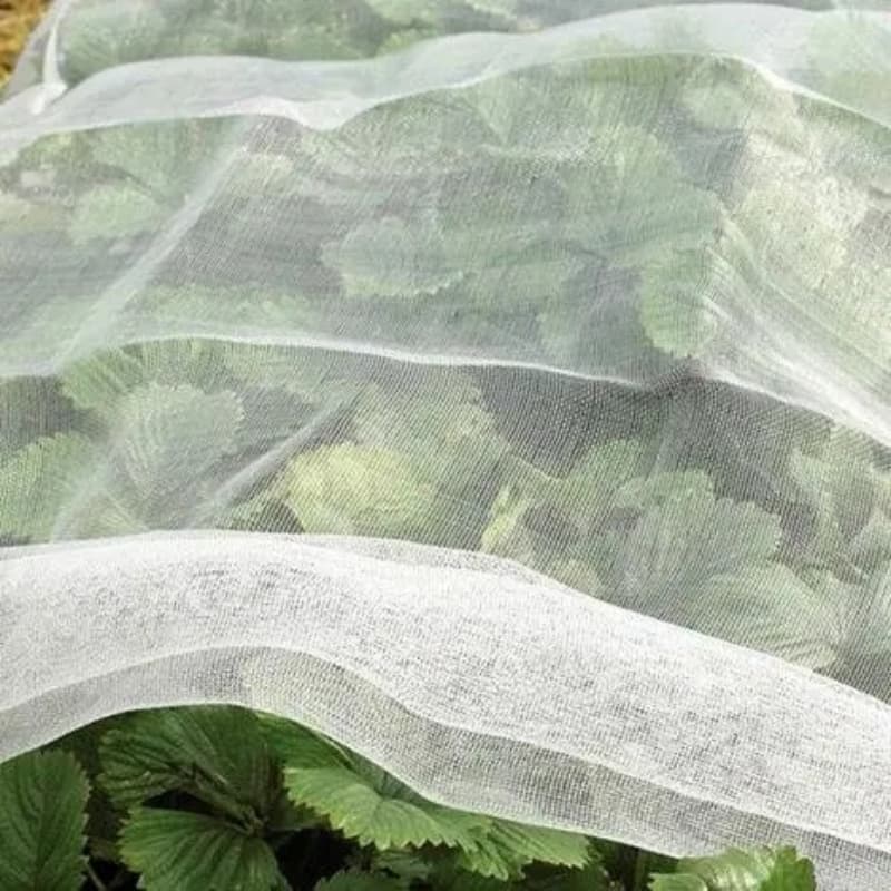 Mesh net for pest control