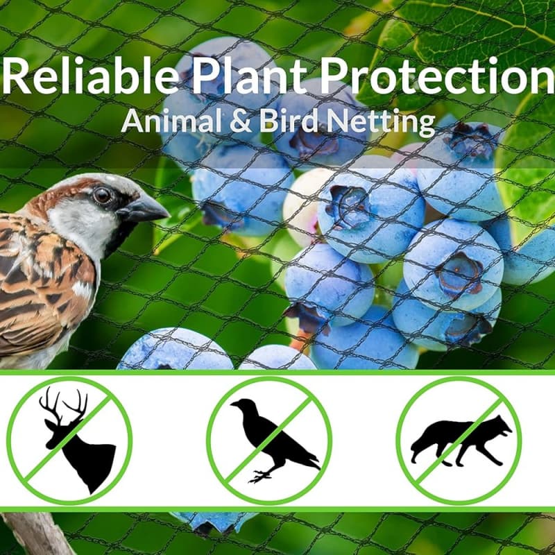 anti bird netting anti bird netting
