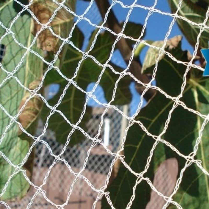 Bird barrier netting for buildings