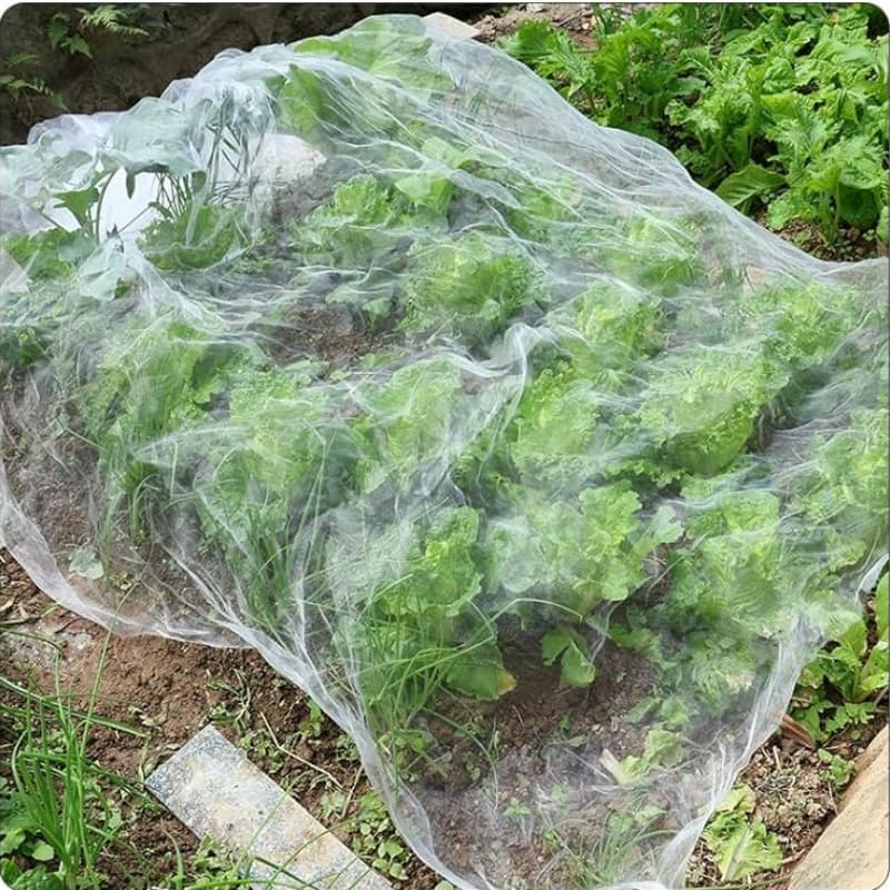 anti insect net anti insect net