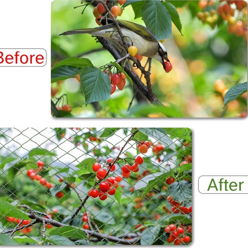 anti bird netting anti bird netting