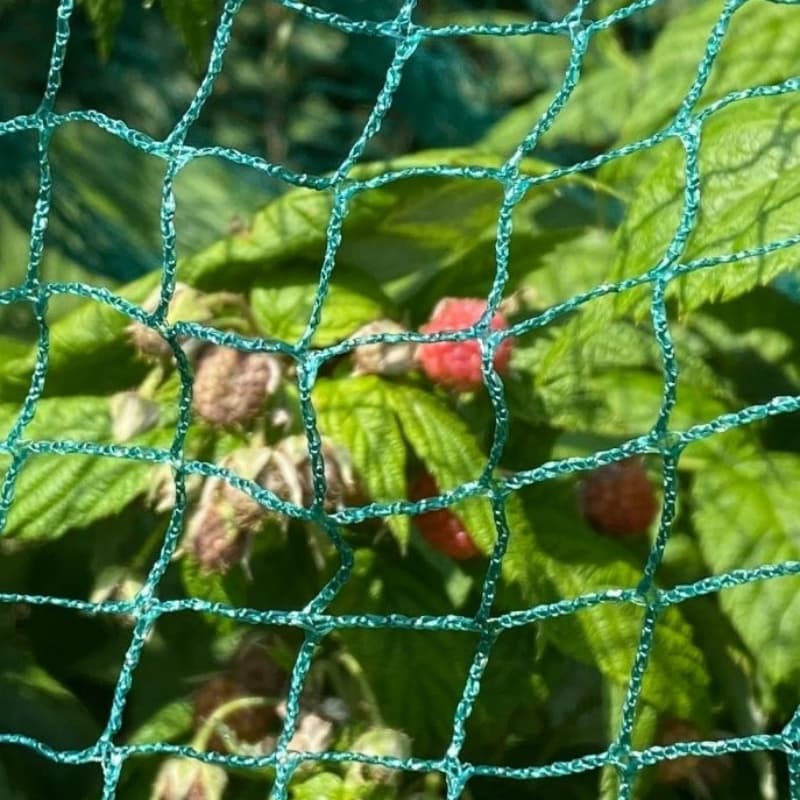 anti bird net anti bird net