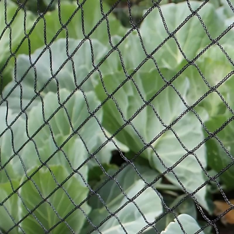 anti bird net