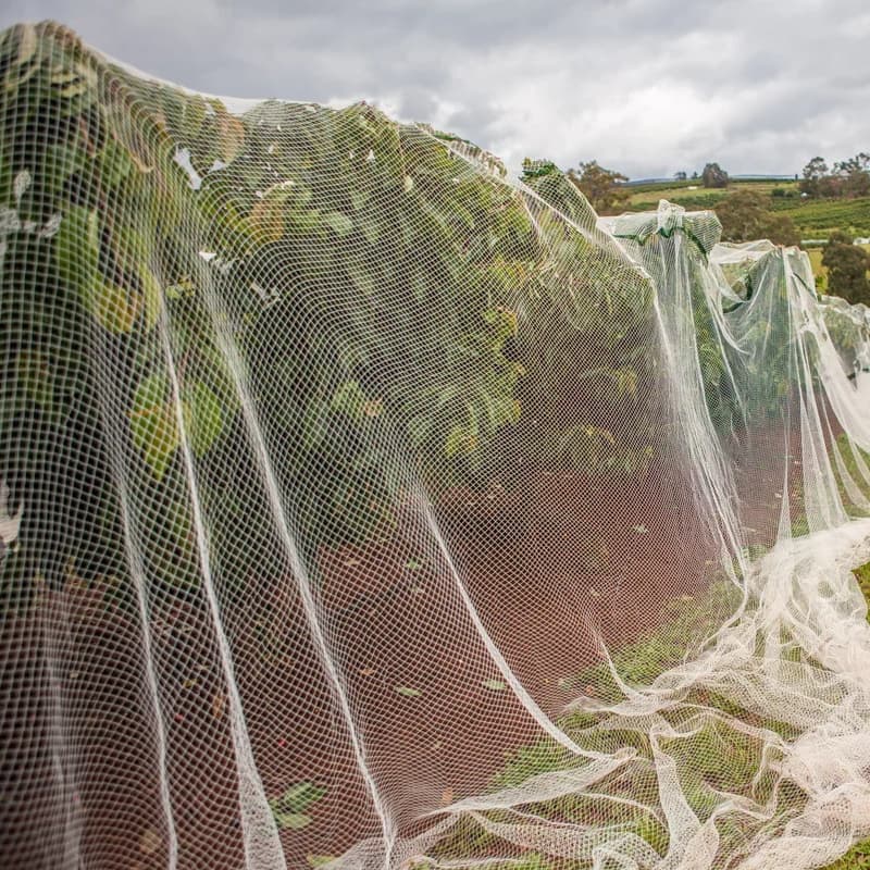 anti bird net