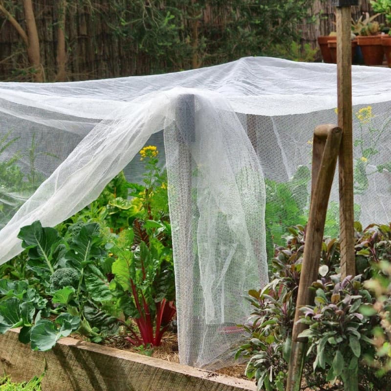 anti insect net