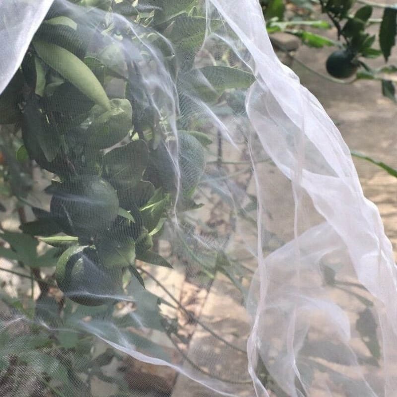 fine mesh insect net
