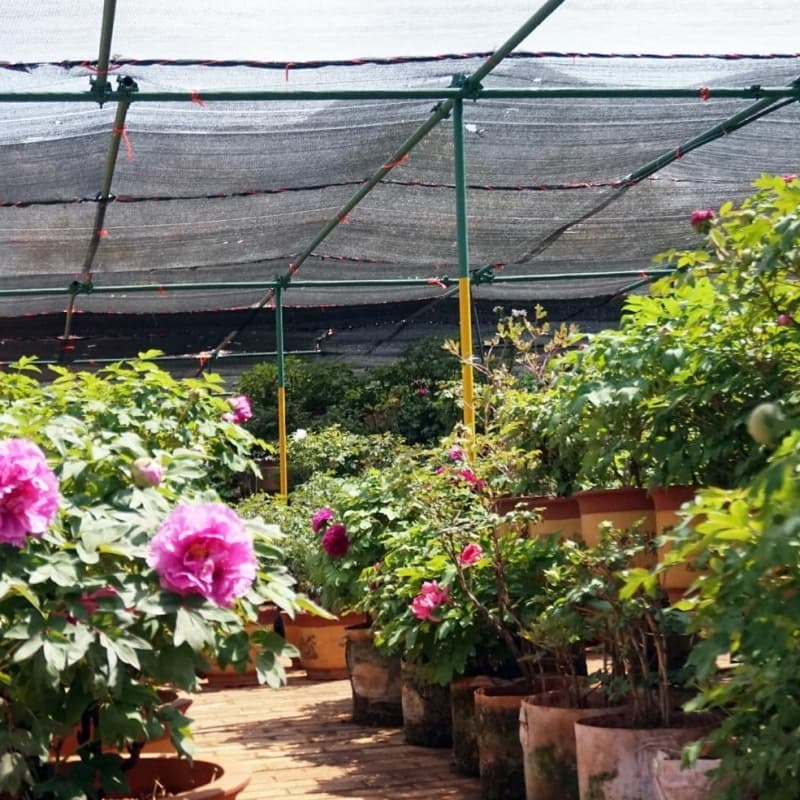 shade net shade net