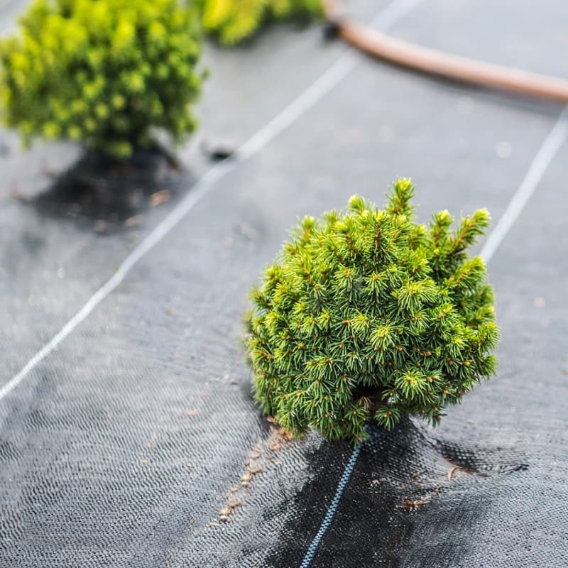 Durable ground cover