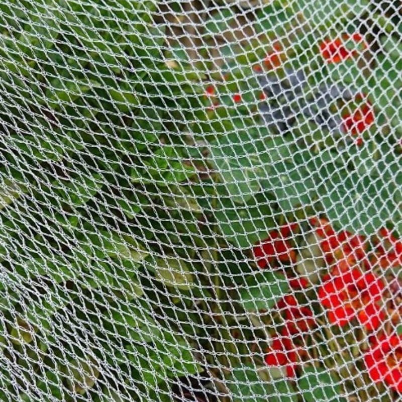 anti bird net anti bird net