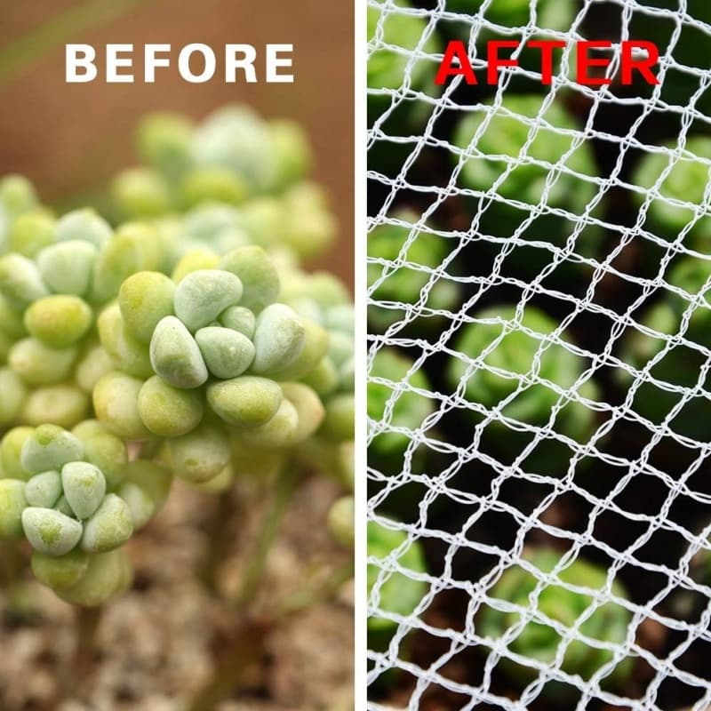 anti bird netting anti bird netting