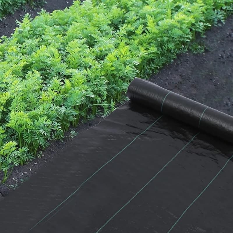 Complete Guide to PP Ground Cover: Weed Control Breathability and Common Questions Answered