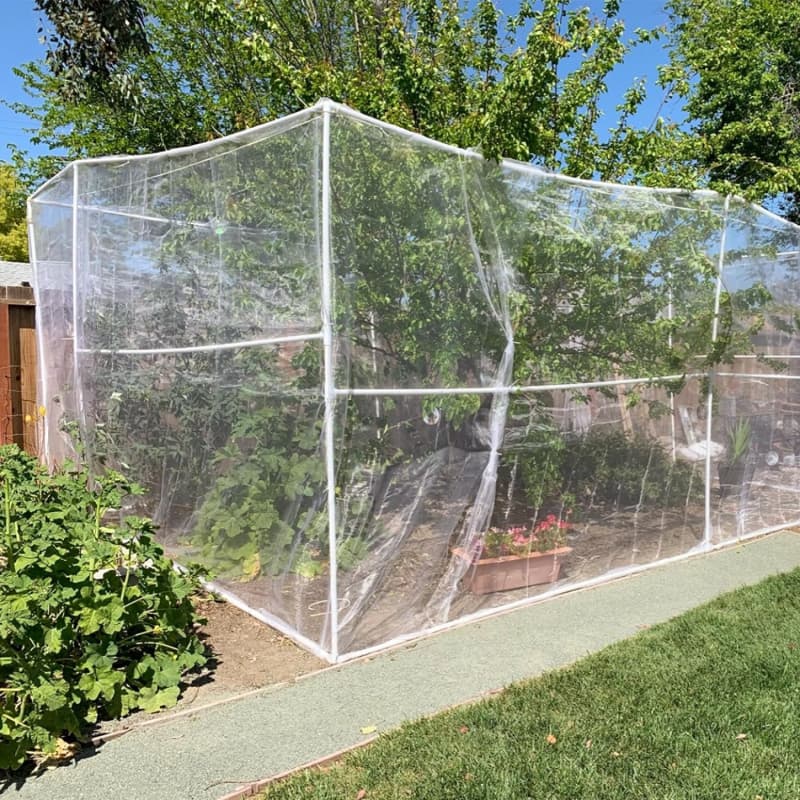 Anti Insect Net: Complete Buying Guide for Greenhouse & Farm Pest Control