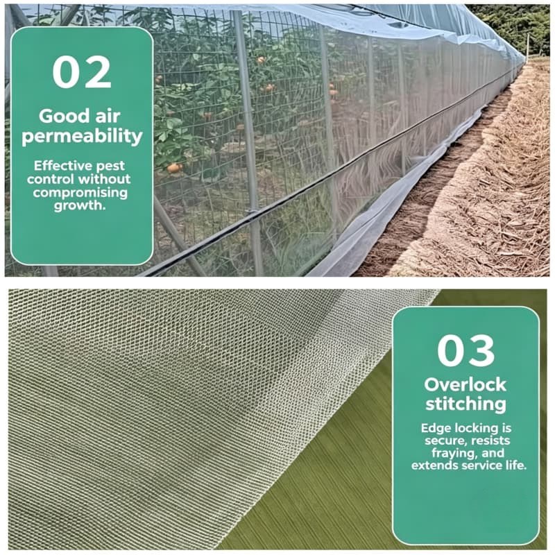 Anti Insect Net Anti Insect Net