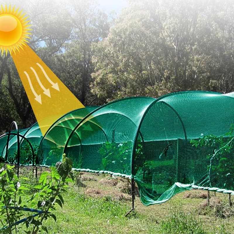 Why Some Shade Nets Are So Cheap? The Truth Behind Low Cost Shade Net