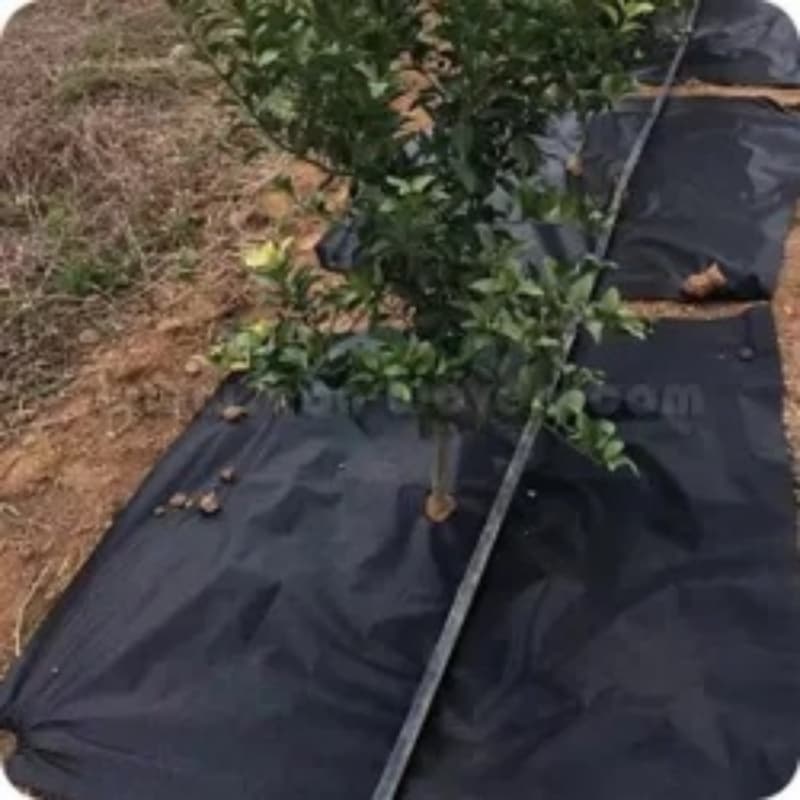 PP Woven Ground Cover vs Non-Woven Weed Mat: Which Is Better for Your Project?