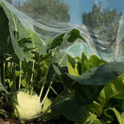 anti insect netting