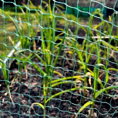 Anti Bird Netting