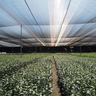 sun shade net