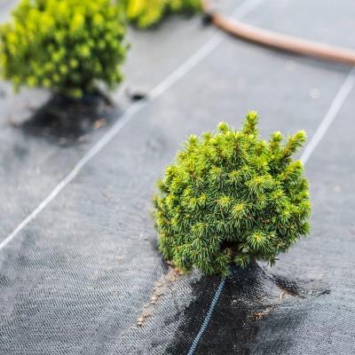 High Quality PP Plastic Weed Control Mat for Greenhouse