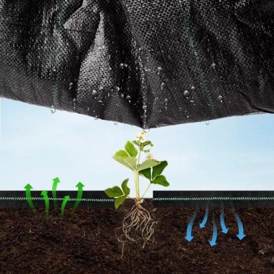 Custom-Size Black Agriculture PP Weed Mat Fabric