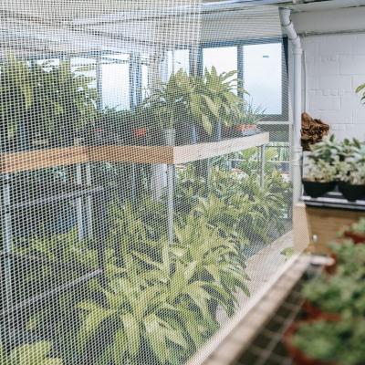 Cheap Price Plastic Insect Net for Vegetable Orchard Planting Greenhouse Agricultural