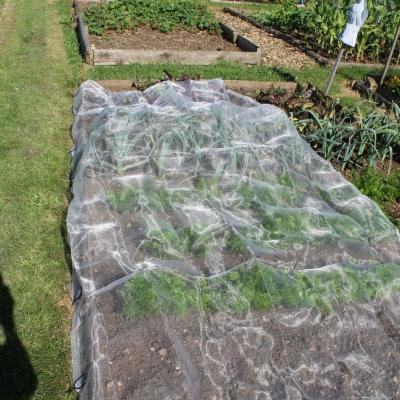 Transparent Anti Insect Net in Roll for Greenhouse